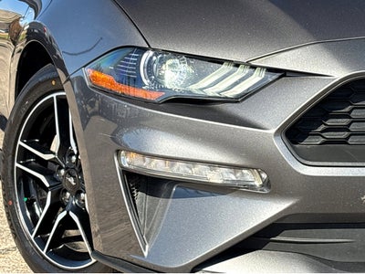 2023 Ford Mustang EcoBoost