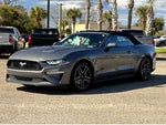 2023 Ford Mustang EcoBoost